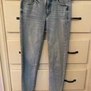 American Eagle Outfitters Blue Skinny Jeans Timeless Fit